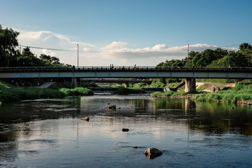 夏の葵橋