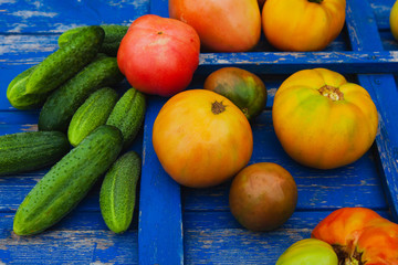 Cucumber and tomato, fresh vegetables on the background of a wooden blue retro texture.