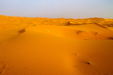 Fototapeta na wymiar Dunas del Sahara