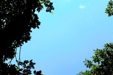 大空へのコントラスト