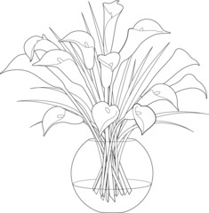 A vector line art illustration of calla flowers arrangement in a bowl