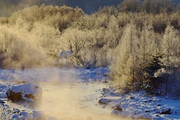 信州の雪景色　霧氷