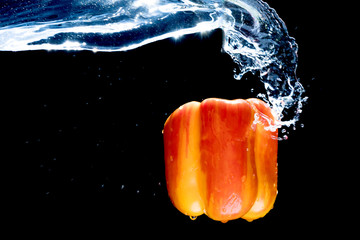 Fresh Variegated pepper gets splashed  with water on black background. Concept of summer, health and fun