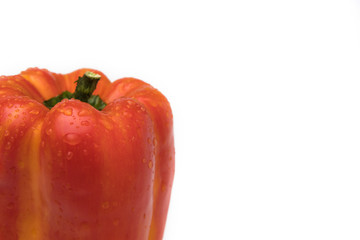 Variegated pepper red and yellow with water droplets on white background. Health Concept with front view