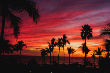Obraz premium Sunset en puerto vallarta