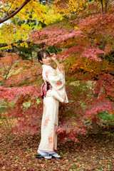 着物を着ている女性