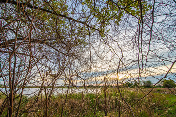 Rural one of Thailand.7