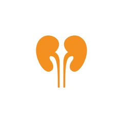 Kidney illustration