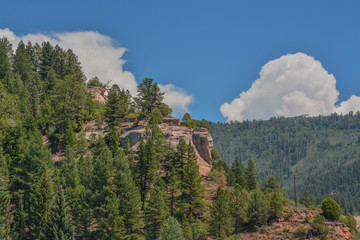 Beautiful red rock formations and gorgeous Ponderosa Pine trees on the mountainside. San Juan...