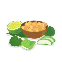 Vector of fresh herb - aloe vera, bergamot, centalla and ginger.