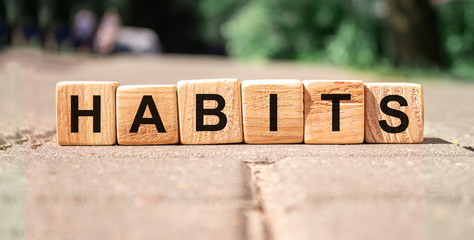wooden blocks in road with word habits © Sinfebeth