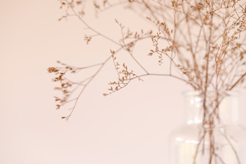 Clear glass bottle with delicate dried foliage with basic cream background