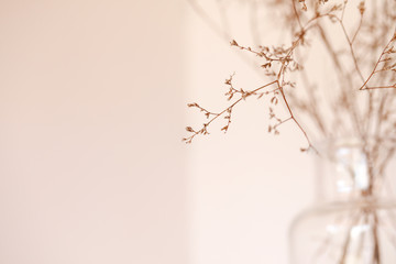 Clear glass bottle with delicate dried foliage with basic cream background
