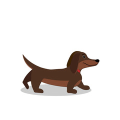 character dog Dachshund isolated on a white background, flat style, clipart, design, decoration, banner, logo