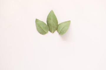 Fototapeta na wymiar Simple flat lay image featuring three gum leaves on white background with copy space