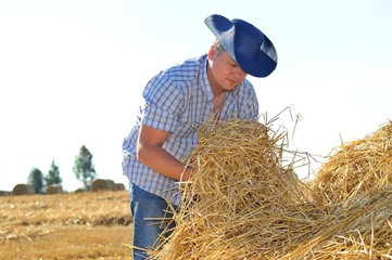 Man cowboy in hat on the farm is doing work and collecting hay