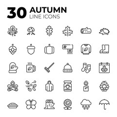 Line autumn icons