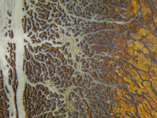 Tributaries of Life - Water from Los Osos Creek drains into Morro Bay, providing rich habitat for...
