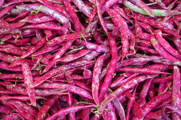 Bush beans on the market