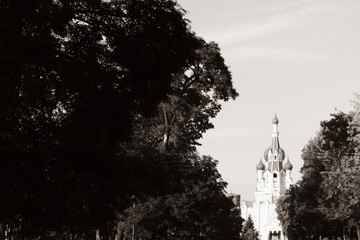 Fototapety na wymiar - Fototapeta24.pl