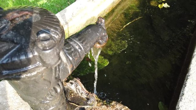 eau fontaine vert environnement