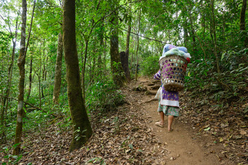 Local porter carrying lugguages and walking to the mountain peak through forest