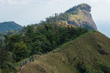 Group of backpackers spending their leisure activity hiking on the mountain ridge