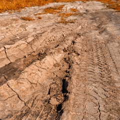 Fototapeta na wymiar drought problems. cracked dirt on a dirt road and tire marks