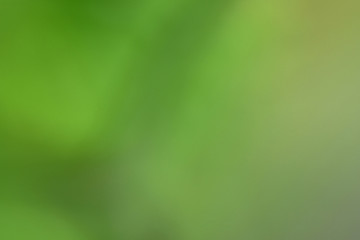 Bokeh green nature, Subtle background in abstract style for graphic design or wallpapers