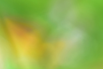 Bokeh green nature, Subtle background in abstract style for graphic design or wallpapers