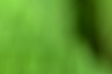 Bokeh green nature, Subtle background in abstract style for graphic design or wallpapers