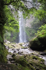 日本の渓谷 滝 九州 東椎屋12