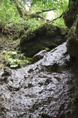 日本の渓谷 滝 九州 東椎屋