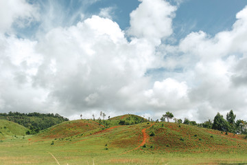 Obraz premium Green small hills with cloudy sky countryside scenery in Thailand.
