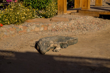 crocodile stone decorative monument on the street