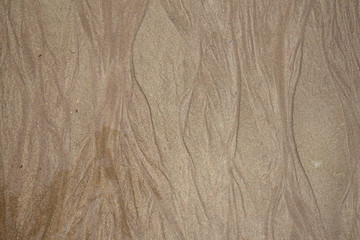 Real image of wet sand on the beach with texture of wave.
