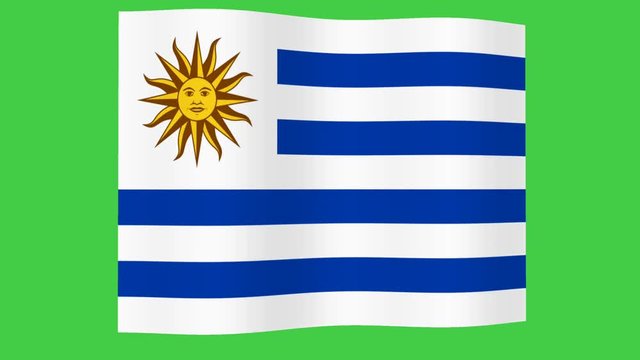 Animation the national flag of Uruguay on green background.