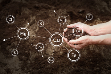 Man with heap of rich soil outdoors, closeup