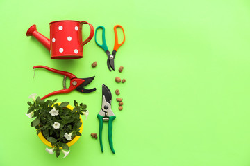 Gardening tools on color background