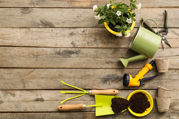 Gardening tools on wooden background