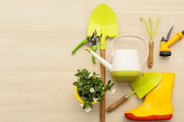 Gardening tools on wooden background