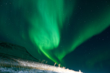 Eine Nacht unter den Polarlichtern im Norden Islands.