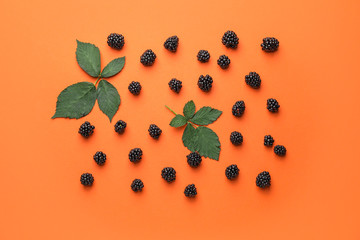 Ripe tasty blackberry on color background