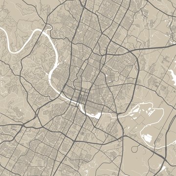 Vector Map Of Austin. Street Map Art Poster Illustration.