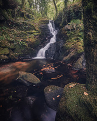 waterfall in the forest