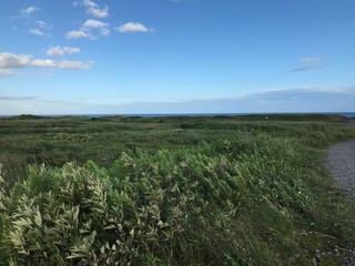 Wetland near Sea and Sky in Hokkaido