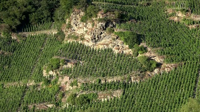 Piesporter Loreley, Felsen und Weingebiet
