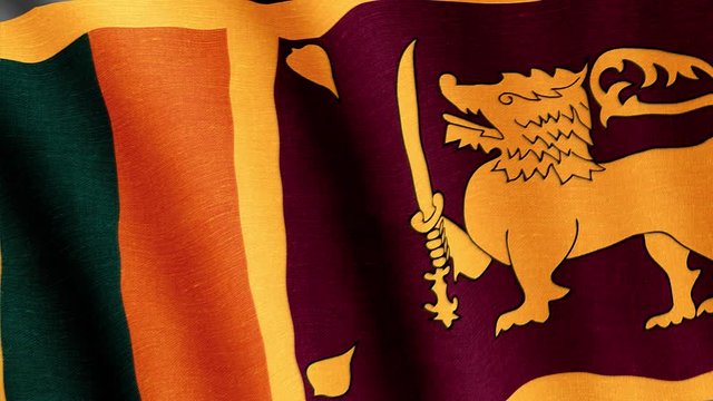 Sri Lanka is a small state,  deservedly considered the most beautiful country in the South Asian region. Since ancient times, the deposits of precious stones have attracted merchants and seafarers.