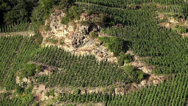 Piesporter Loreley, Felsen und Weingebiet