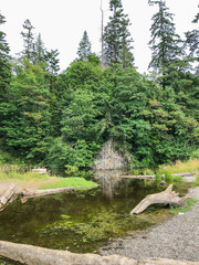 Burfoot Park